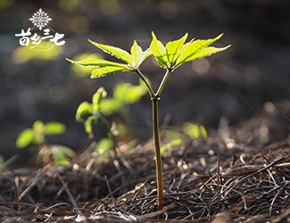 淺談二十四節(jié)氣與疾病的關系，節(jié)氣變化如何養(yǎng)生