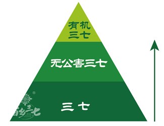 三七有幾個等級？分級依據(jù)是什么？